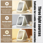 Premium LED Makeup Storage Organizer Mirror